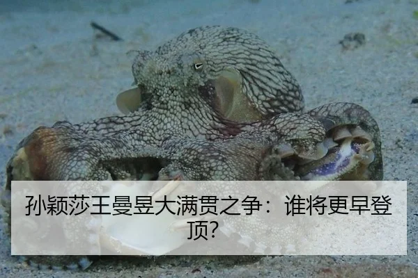 孙颖莎王曼昱大满贯之争：谁将更早登顶？